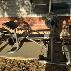Weight Bench