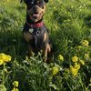 Ellie