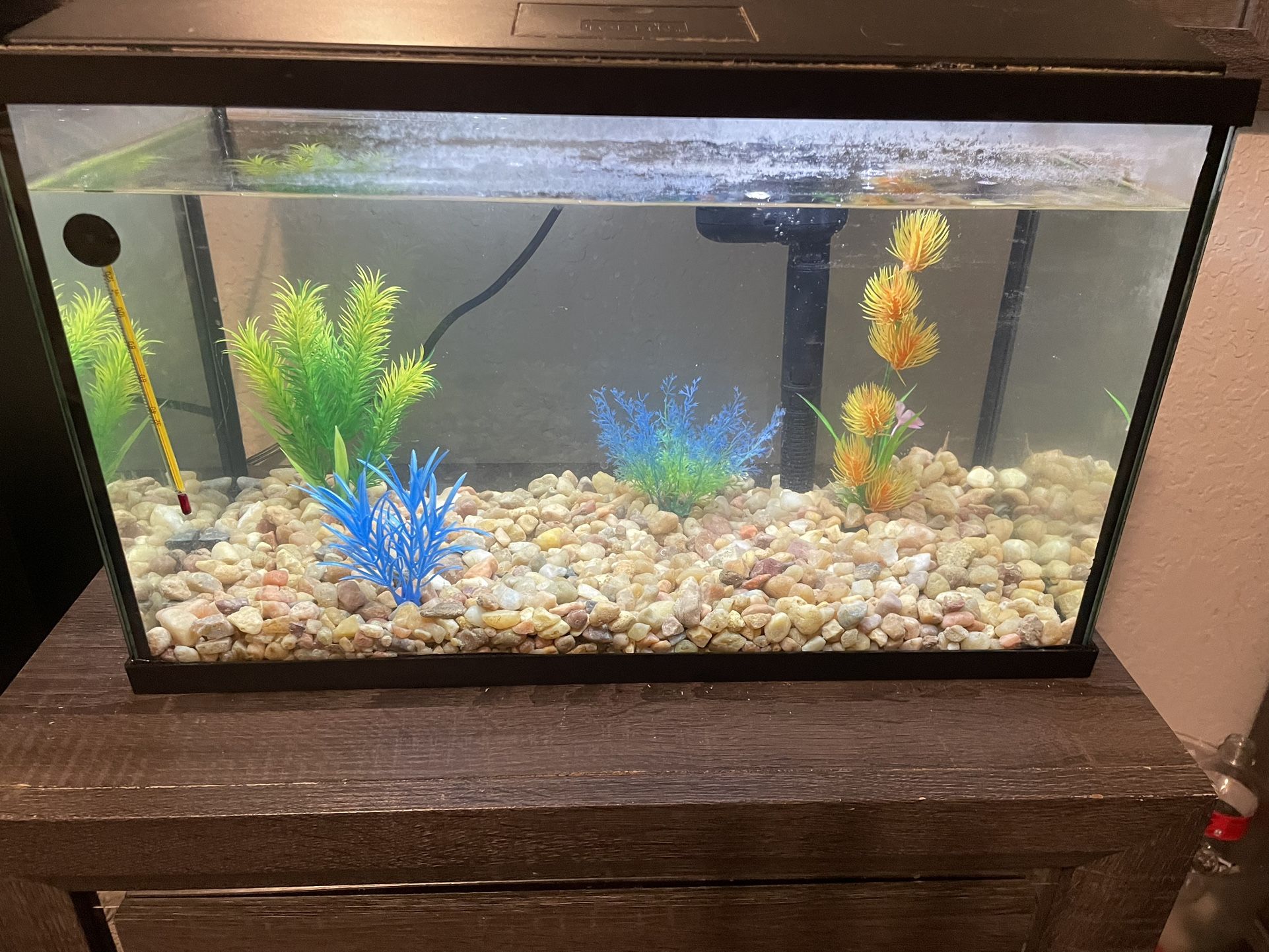 10 gallon fish tank comes with lights and filter and thermometer.