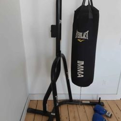 Punching bag set, with gloves and wraps.