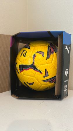 Puma Official Laliga 23/24 Season FIFA Quality soccer ball