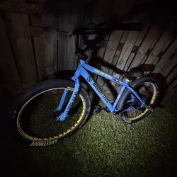 maniacc flyer se bike