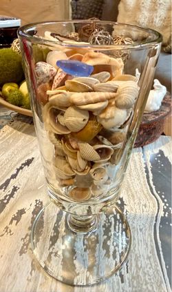 Assorted Seashells and Sea Glass in Footed Glass Vase Natural collection of assorted seashells and a blue sea glass fragment. The set includes vario
