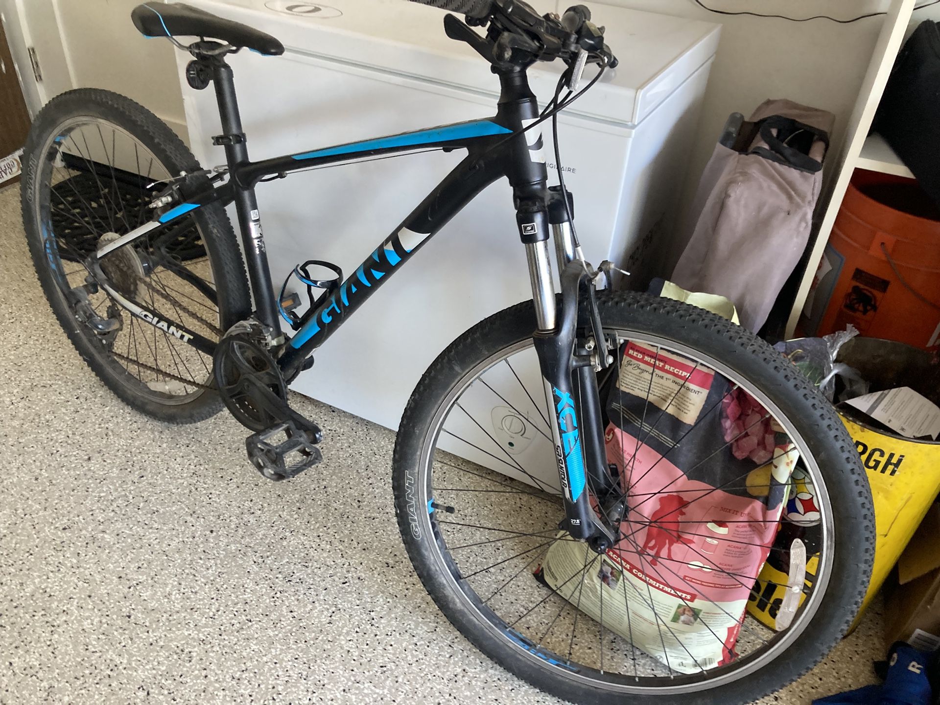 Giant ATX Mountain Bike - Kids