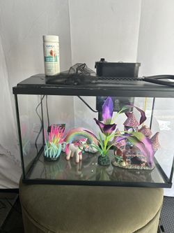 5 Gallons Aquarium Plus All Ornamental 