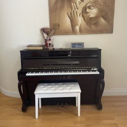 Schafer & sons Piano