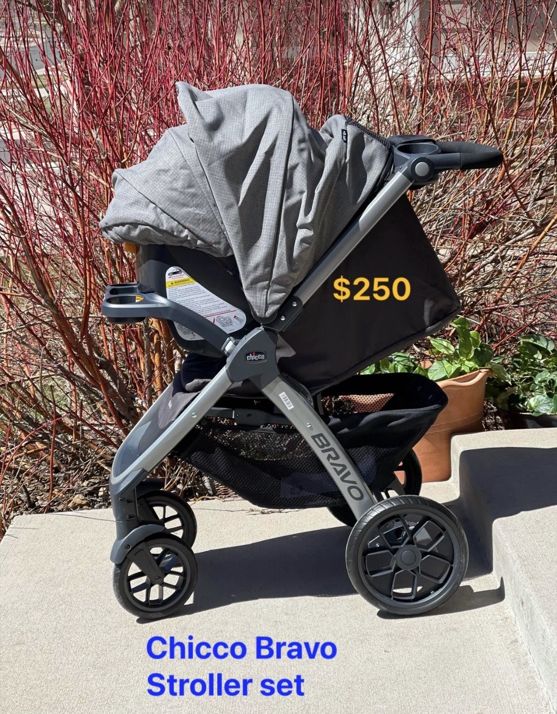 Chicco Travel System
