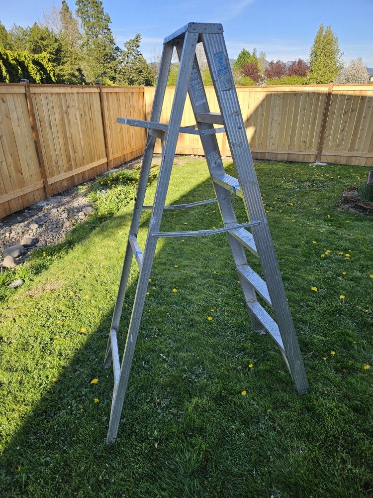 6 Ft Ladder