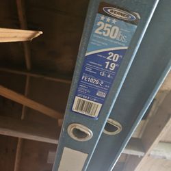 Werner 20ft ladder 