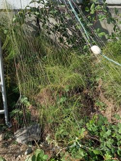 commercial fishing net