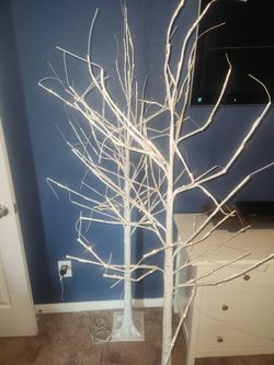 Birtch Tree Lamps