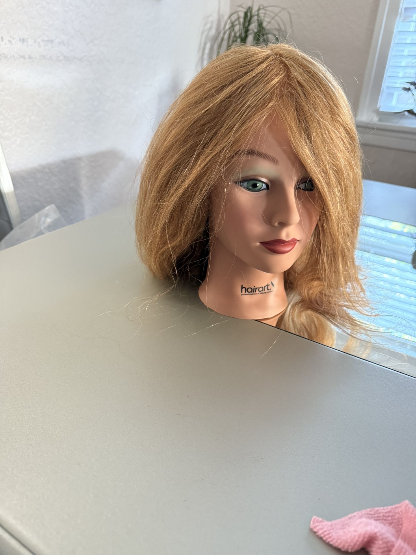 Cosmetology And Barber HAIRART Doll Head