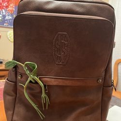 Harry Potter fantastic beasts newt scamander backpack excellent