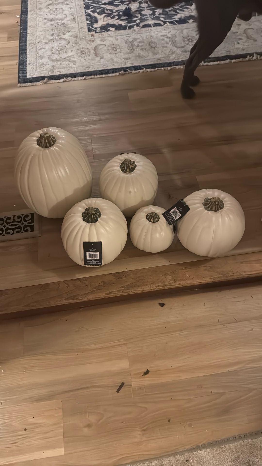 Ashland Craft Pumkins 