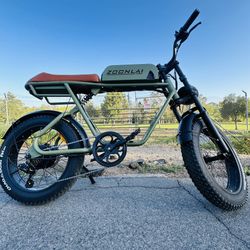 Electric Bike