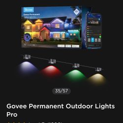 Govee 150ft Black Version