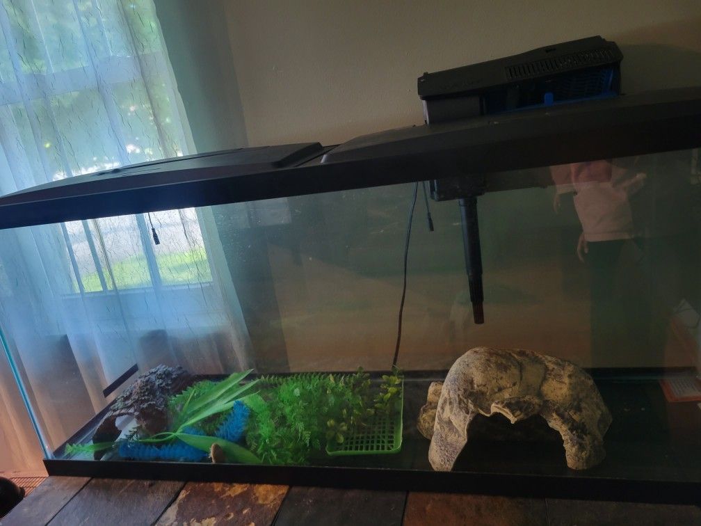 Fish Tank