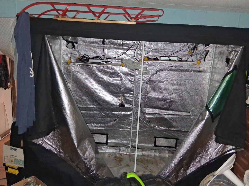 8 Ft X 6 Ft Growing Tent