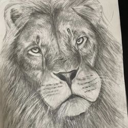 I Draw Pets And Animals 