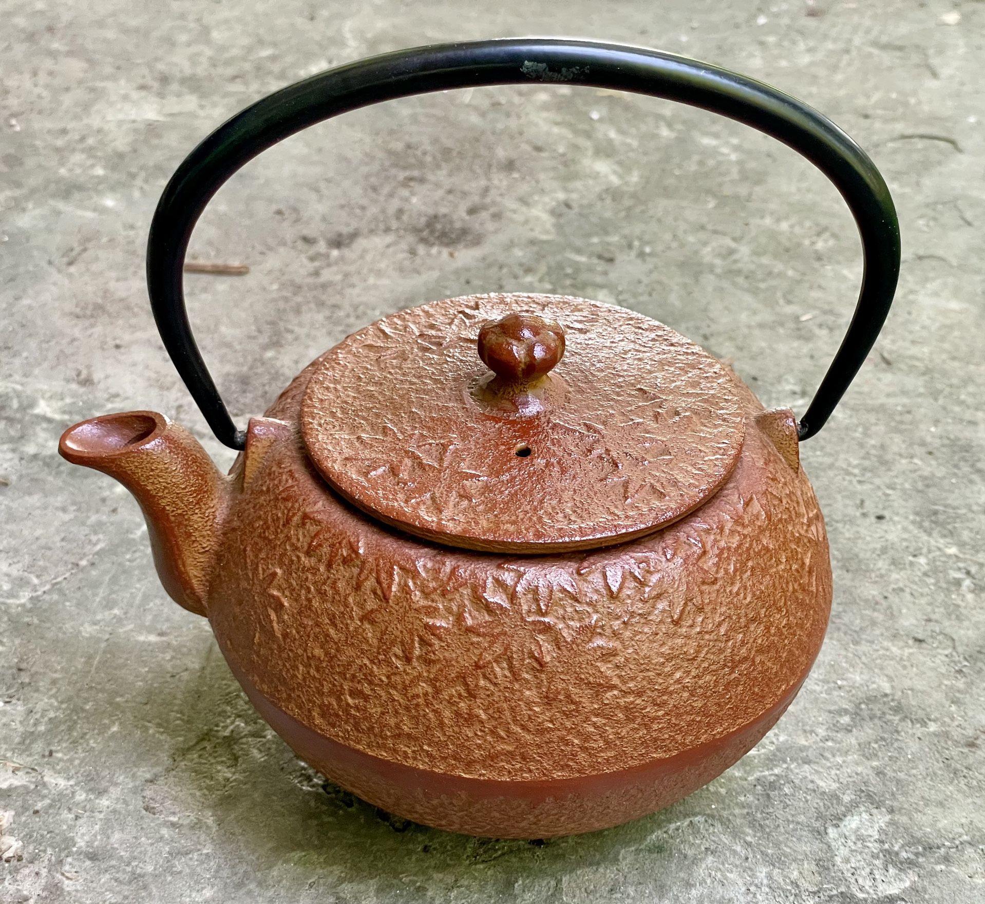 Joyce Chen Asian Collection Year of The Dragon Cast Iron Tetsubin Kettle Teapot