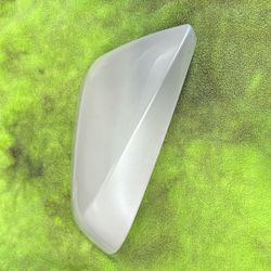 Lexus Rx Mirror Cover Passenger Side Mirror 