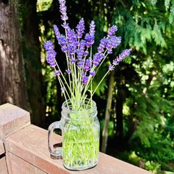 Fresh-Cut Herbs + Lavender (Everett Pickup) 