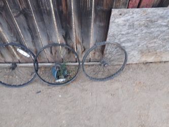 Bike rims
