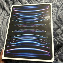 iPad Pro 6th Gen Wi-Fi & Cellular 1TB 