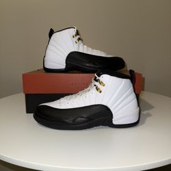 Jordan 12 Taxi 2025