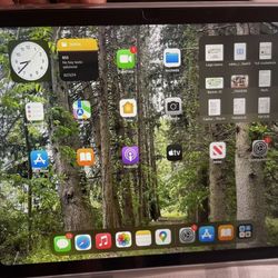 Apple iPad 10.9 WiFi 