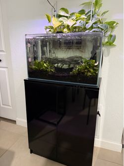 Fish Tank/ Aquarium