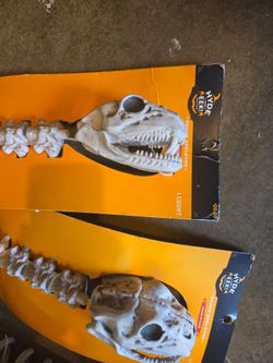 Halloween decorations