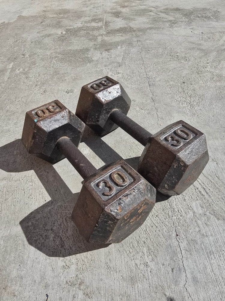 30 Pound Dumbbells Weights Set Of 2