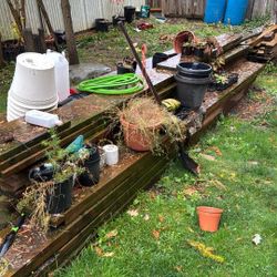 Treated Wood Lumber