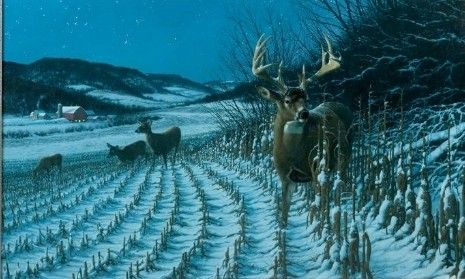 MICHAEL SIEVE (AMERICAN, B. 1951)
Whitetail Deer Survival Series-Wait 'Til Dark
Oil on canvas PRINT 660/6327, signed and dated 1996 lower right.