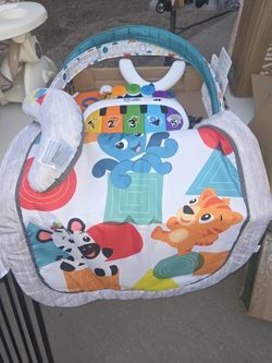 Baby Eibstein Play Mat