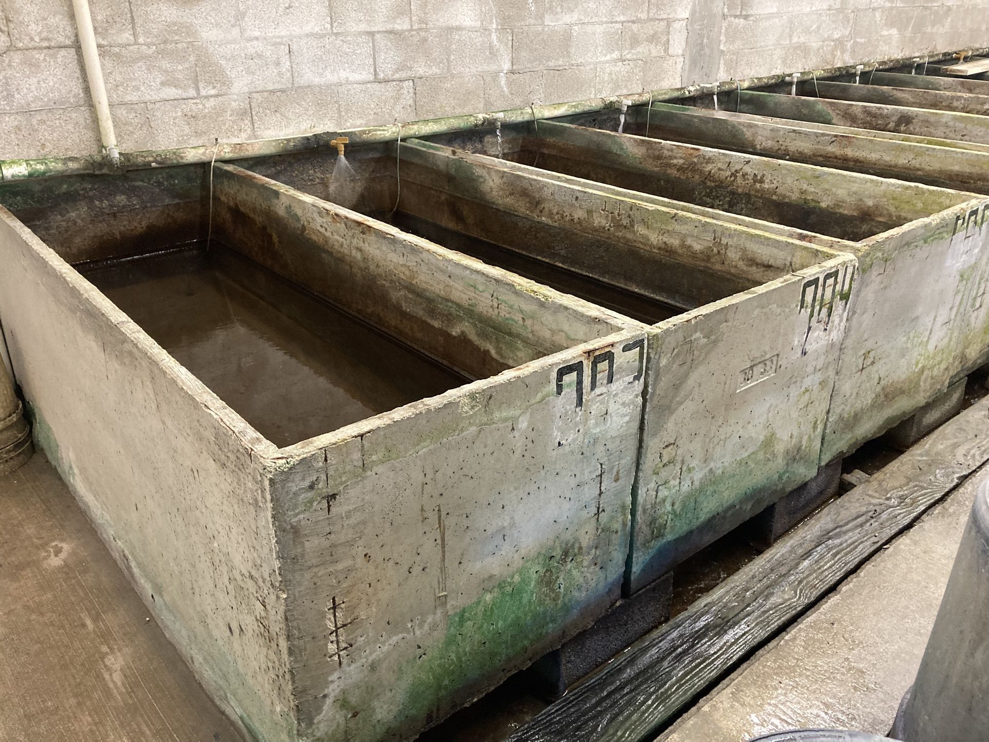 Concrete Aquaculture Vats