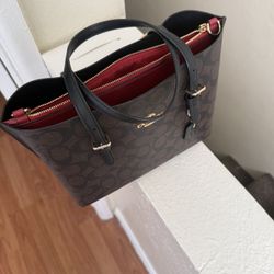 MINI TOTE COACH BAG