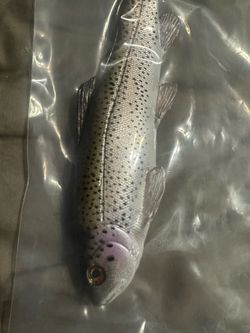 Nate’s bait 9 inch