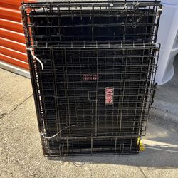 Dog Kennel 