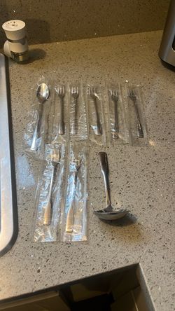 Stainless Steel Flatware Set with Ladle