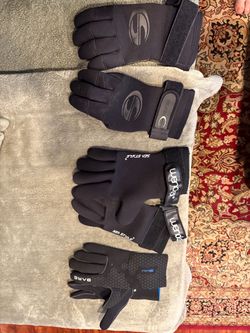Dive gloves lobster