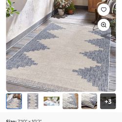 Outdoor Indoor Rug