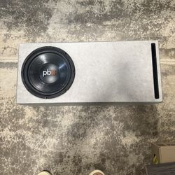 12” Subwoofer with Amp & Control Knob – Great Condition