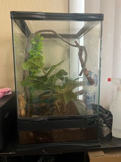 Gecko enclosure