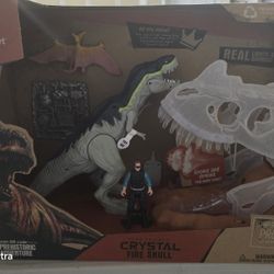 Electronic Cristal Fire Skull