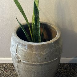 Pot For Plant, 2 Feet Tall 24 Inches$100
