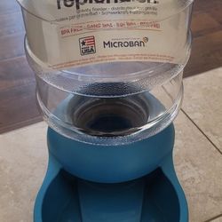 Pet Water Bowl