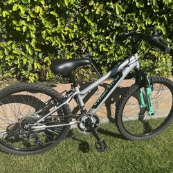 Nishiki 24 mountain bike