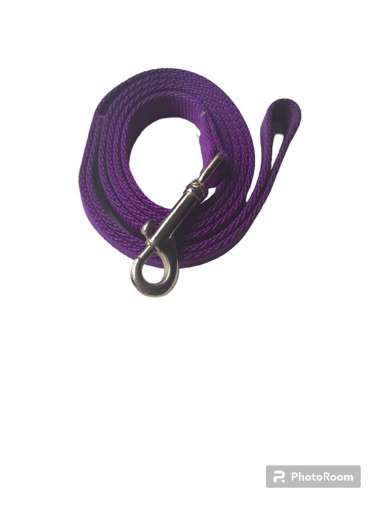 Purple  Leash
